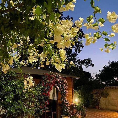 B&B Il Girasole SantʼAnna Arresi Kültér fotó