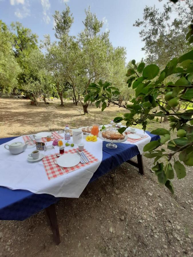 B&B Il Girasole SantʼAnna Arresi Kültér fotó