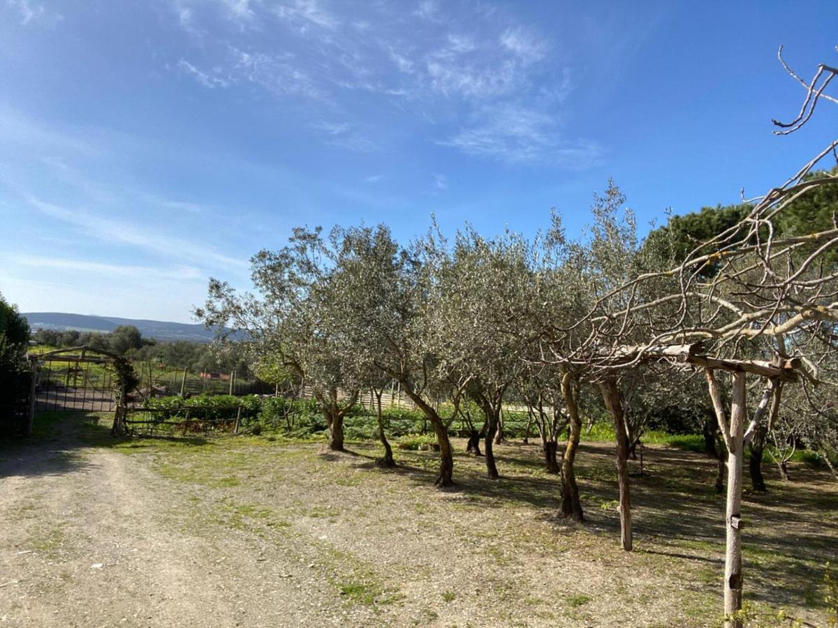 B&B Il Girasole SantʼAnna Arresi Kültér fotó