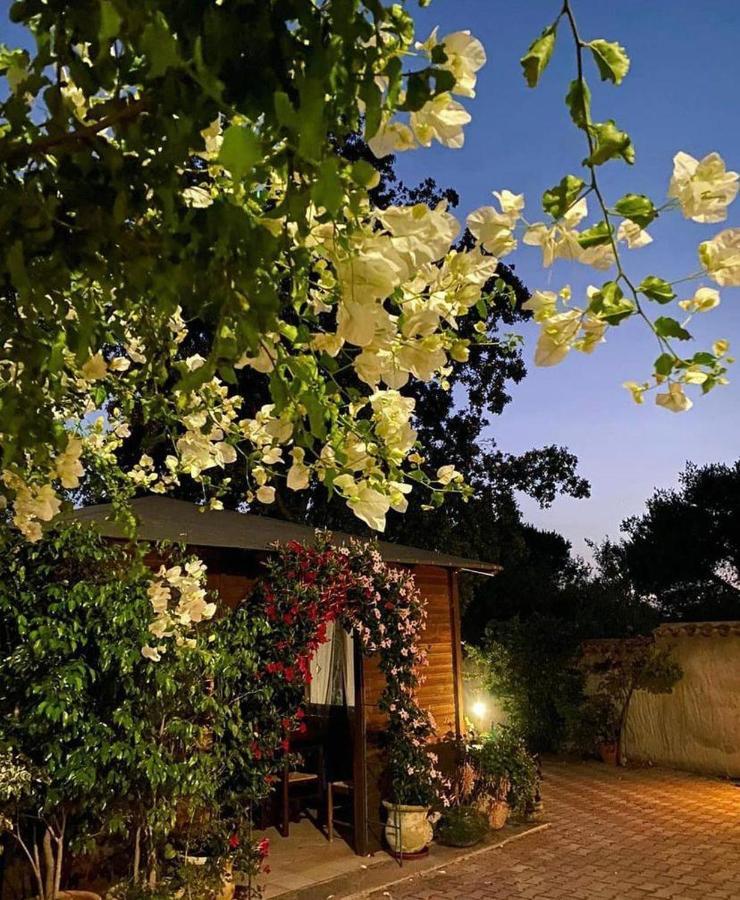 B&B Il Girasole SantʼAnna Arresi Kültér fotó