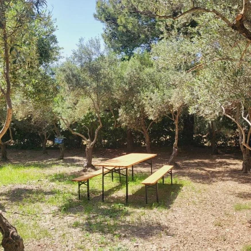B&B Il Girasole SantʼAnna Arresi Kültér fotó